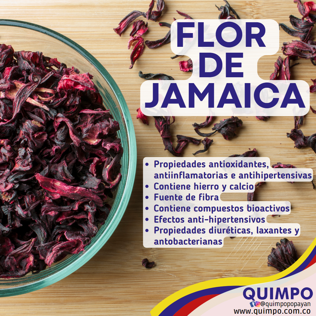 FLOR DE JAMAICA Quimpo Popayán