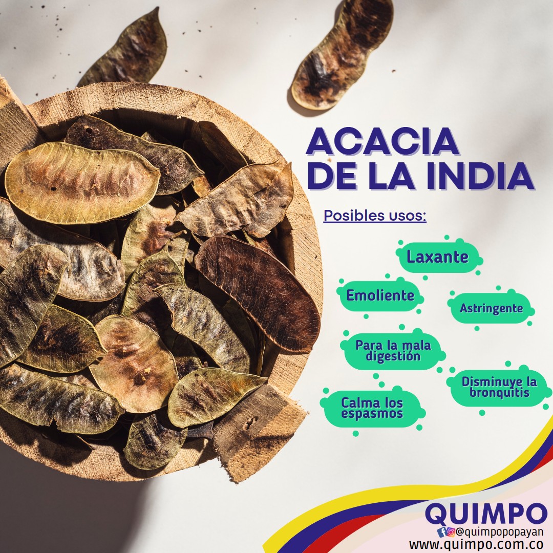 ACACIA DE LA INDIA EN HOJAS – Quimpo Popayán