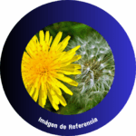 Diente de León Picado