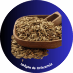 Hinojo Semilla Entera